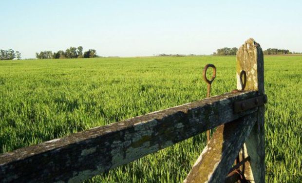 Preocupación por el alto valor de los alquileres que deja márgenes ajustados: “Se convalidan números que no cierran”
