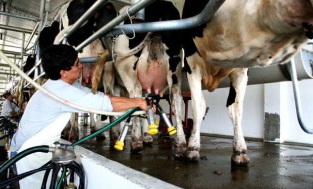 El precio promedio de la leche al tambero creció un 5,7 % en mayo