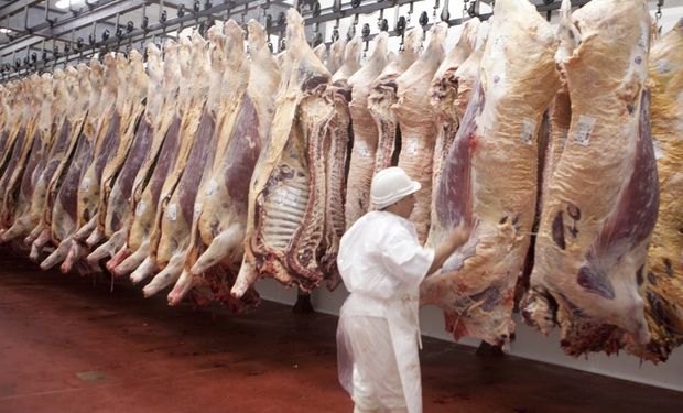 Creció la exportación de carne durante 2024 y se alcanzó un volumen de 709,1 mil toneladas