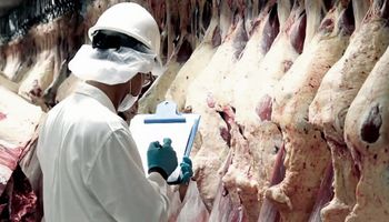 Carne argentina en China: la exportación creció un 115% durante el 2018