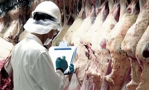 Exportaciones de Carne Vacuna según el IPCVA.