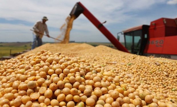 Coronavirus: 8 preguntas que el productor agropecuario de Buenos Aires debe conocer