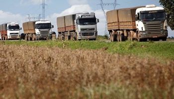 Aumenta un 30 % la tarifa de referencia del transporte de granos