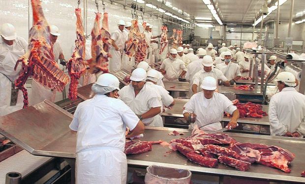 Córdoba, Santa Fe y Entre Ríos reclamaron la reapertura de las exportaciones de carne