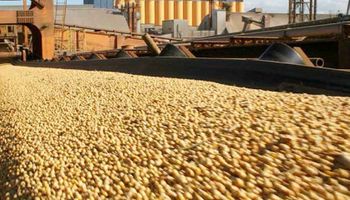 Retenciones a la soja: el mercado anticipa una baja en los precios disponibles a 260 dólares por tonelada, desde los actuales 280