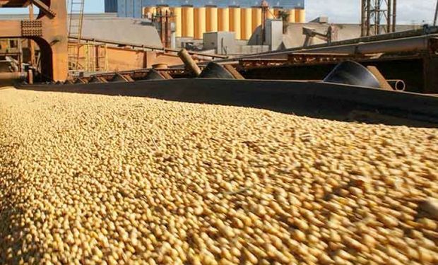 Retenciones a la soja: el mercado anticipa una baja en los precios disponibles a 260 dólares por tonelada, desde los actuales 280