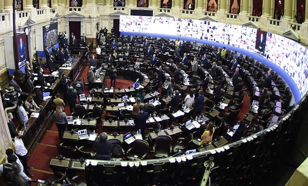 Diputados: el oficialismo busca la sanción de la ley de etiquetado frontal