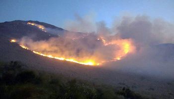 Incendios en Córdoba: piden que se declare la emergencia agropecuaria en nuevas regiones