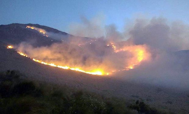 Incendios en Córdoba: piden que se declare la emergencia agropecuaria en nuevas regiones