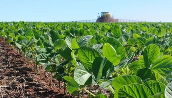 Campaña 2023/24: la superficie de la soja aumentará un millón de hectáreas