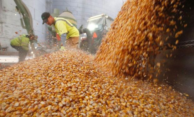 Maíz: el Gobierno amplió el volumen de equilibrio a 20 millones de toneladas y busca hacerse de dólares