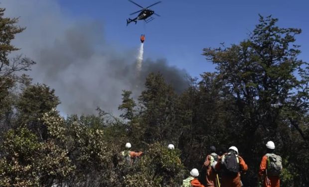 Incendios en Chubut: las imágenes del fuego en el parque Los Alerces