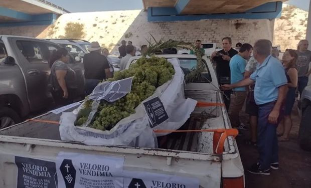 El velorio del vino: por qué productores viñateros de San Juan y Mendoza cargaron kilos de uvas en ataúdes