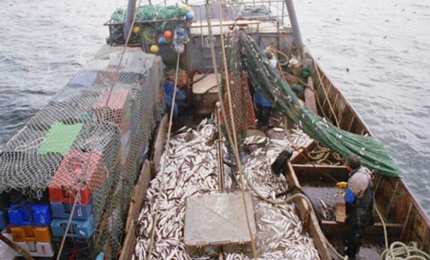 DNU de Milei: gobernadores patagónicos advierten “consecuencias devastadoras” si se libera la pesca en el Mar Argentino