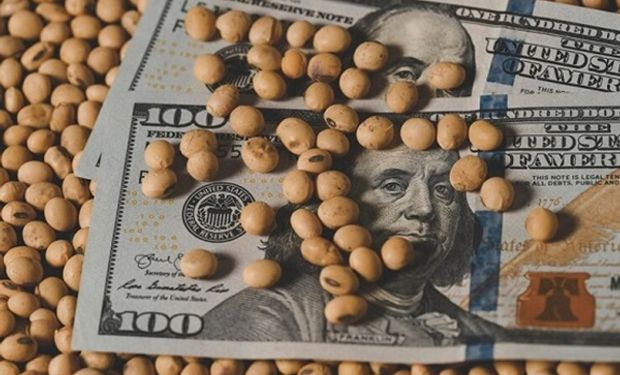 La suba del dólar CCL apuntaló el precio de los granos gruesos: cuánto se pagó por la soja, el maíz y el trigo en Rosario