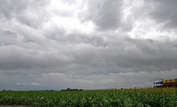 Las lluvias continuarán el fin de semana y traerán alivio a los cultivos afectados por la sequía