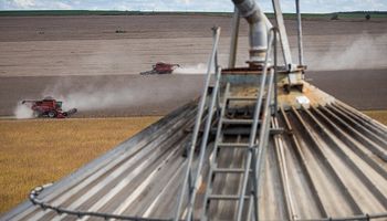 El inicio de un “proceso” en los Estados Unidos lleva al fortalecimiento de la soja: cuánto se pagó en Rosario