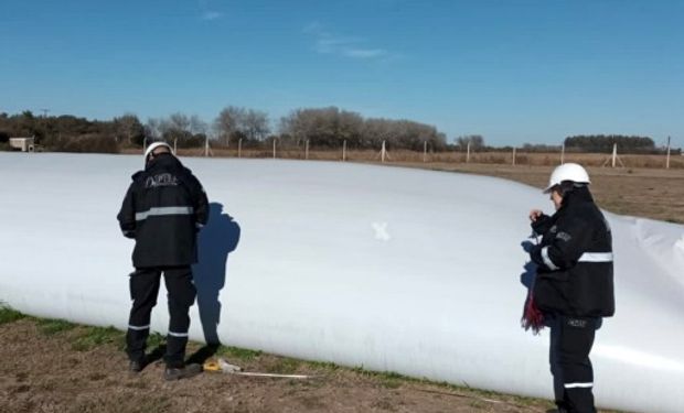 Millonario ajuste fiscal: la AFIP denunció una maniobra de una importante empresa de la cadena agroindustrial