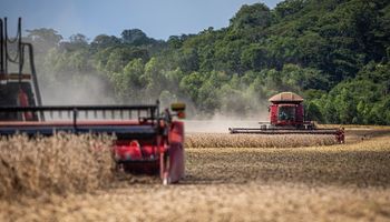 Sin precedentes: Brasil cosechará 315,8 millones de toneladas de granos en la campaña 2022/23