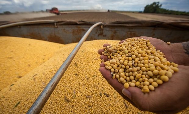 El mercado se posiciona a la espera de un informe clave: cuánto se pagó por la soja en Rosario