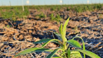 Sigma Agro presenta su estrategia para rotar principios activos y reducir la resistencia de malezas