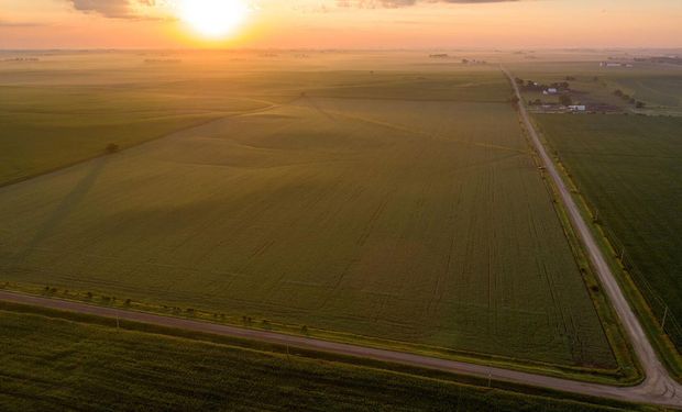 Se subasta en Estados Unidos un campo histórico que aplica el "modelo argentino"