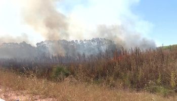 Incendio en campos de Buenos Aires y La Pampa: productores apuntaron contra gobernadores peronistas por la falta de respuestas