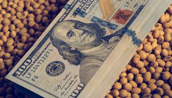 Dólar soja: el Gobierno prorrogará la medida hasta el 20 de octubre 