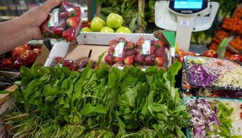 Frutas, verduras y carnes:  el consumidor pagó 3,6 veces más de lo que cobró el productor