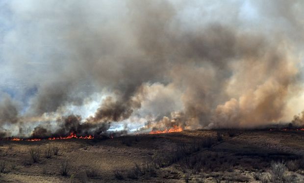 Ley de humedales: suspenden el plenario de comisiones y el campo se moviliza en rechazo al proyecto