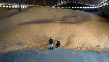 Detectaron 15 “cerealeras truchas" que no ingresaron al país más de 49 millones de dólares