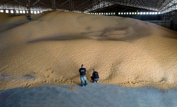 Detectaron 15 “cerealeras truchas" que no ingresaron al país más de 49 millones de dólares