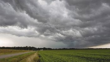 Comenzó El Niño y se espera una primavera más lluviosa