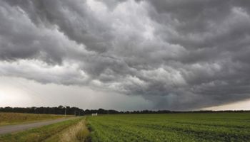 Dos datos claves mejoran las condiciones de lluvias para la campaña fina y gruesa: qué pasa con La Niña