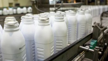 Cayó la exportación de lácteos, pero la recuperación del precio salvó la facturación: qué se espera para el segundo semestre