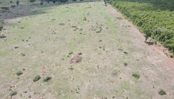 Ibama aplica R$ 29 milhões em multas a fazendeiros por falhas em recuperação ambiental