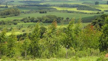 Entrega da Declaração do Imposto Territorial Rural começa hoje