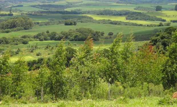 Tributo deve ser pago por pessoas física ou jurídica que possuam, a qualquer título, imóvel rural.