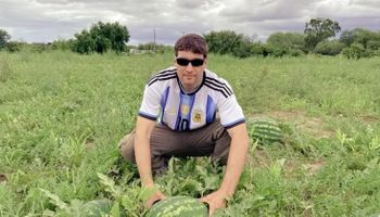 El día "histórico" que vivió un productor de sandías gracias a una desregulación del Estado