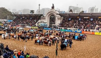 Vacaciones de invierno: cuándo es la Exposición Rural de Palermo