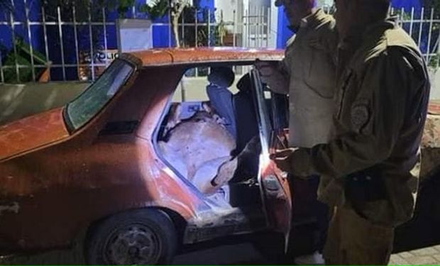 Se los llevaron en un Renault 12:  entraron a su casa y le robaron un ternero y tres lechones 