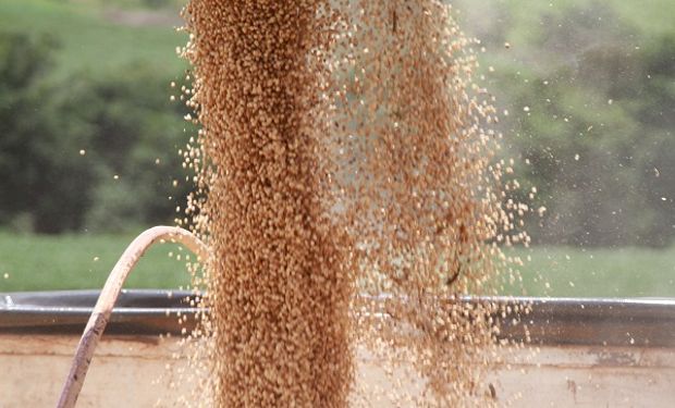 Las expectativas de lluvia presionan el precio de la soja en Chicago: cuanto se pagó en Rosario