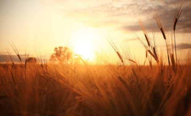 Advierten calor extremo en seis provincias y alerta de tormenta en cuatro de ellas
