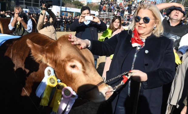 Elisa Carrió será precandidata a Presidente por Juntos por el Cambio: su relación con el campo