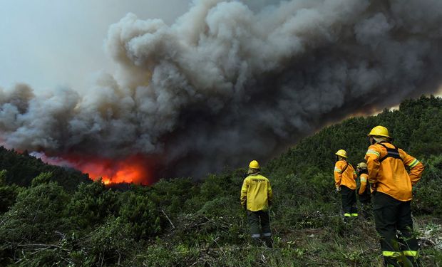 Incendios: el Gobierno busca llevar a un máximo de 25 años de cárcel a quienes provoquen focos intencionales