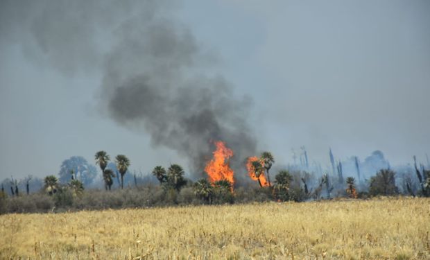 San Luis: declaran la emergencia agropecuaria por sequía, heladas e incendios