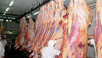 El consumo interno se queda con el 93% de la producción
