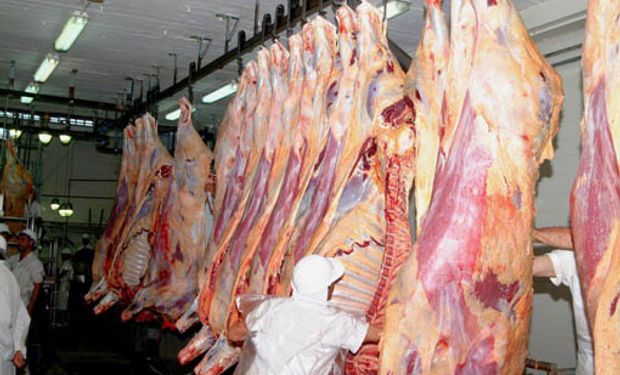 Crecen exportaciones de carne a China