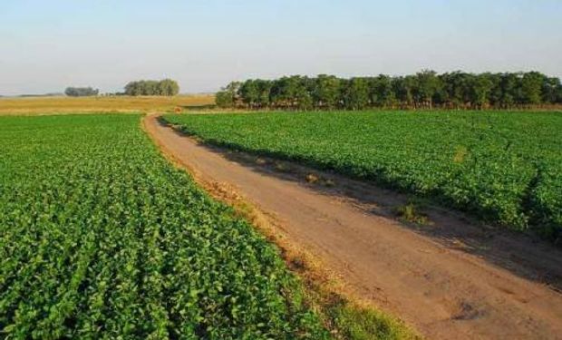 En Brasil buscan impulsar la producción del agro