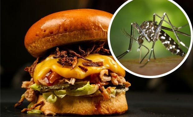 ¿Se pueden hacer hamburguesas de mosquito?